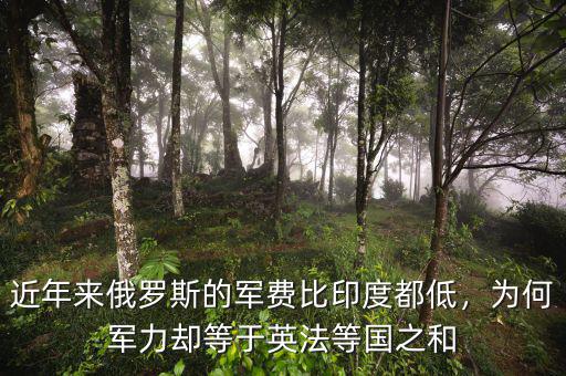 近年來俄羅斯的軍費(fèi)比印度都低，為何軍力卻等于英法等國(guó)之和
