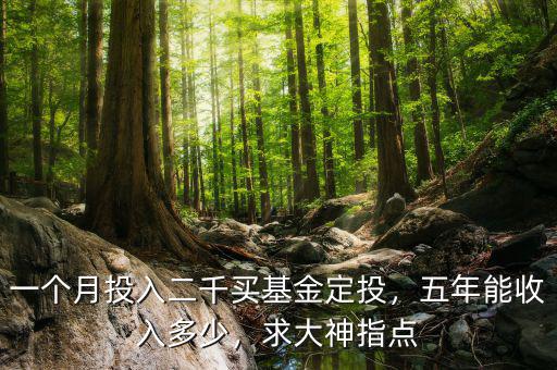 一個(gè)月投入二千買基金定投，五年能收入多少，求大神指點(diǎn)