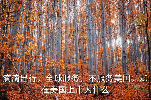 滴滴出行，全球服務(wù)，不服務(wù)美國，卻在美國上市為什么