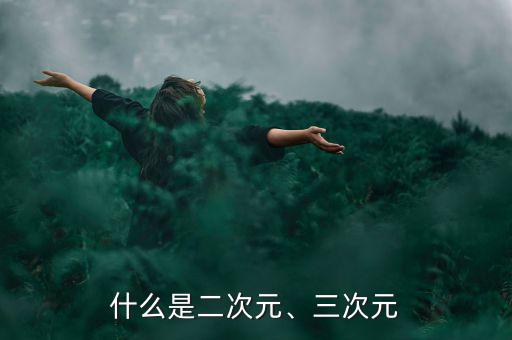 什么是二次元、三次元