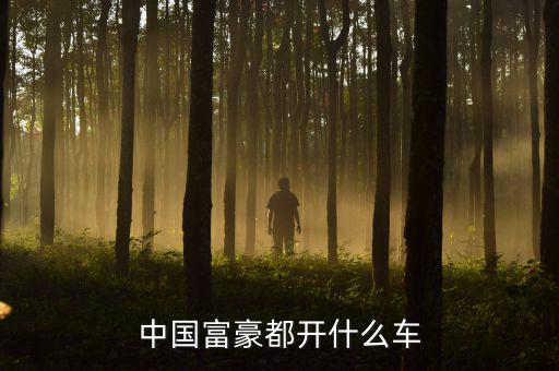 地產大佬都開什么車,中國富豪都開什么車