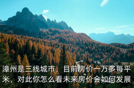漳州是三線城市，目前房價(jià)一萬多每平米，對此你怎么看未來房價(jià)會如何發(fā)展