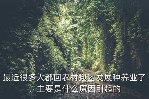 最近很多人都回農(nóng)村抱團(tuán)發(fā)展種養(yǎng)業(yè)了，主要是什么原因引起的
