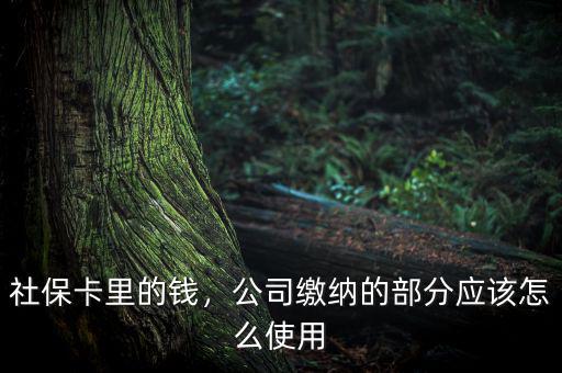公司交的社保怎么用,社?？ɡ锏腻X