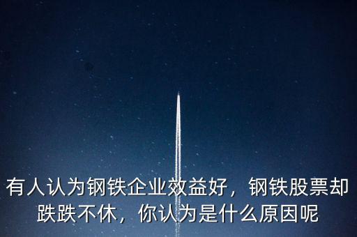 有人認為鋼鐵企業(yè)效益好，鋼鐵股票卻跌跌不休，你認為是什么原因呢