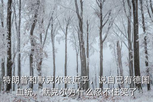 特朗普和默克爾套近乎，說(shuō)自己有德國(guó)血統(tǒng)，默克爾為什么忍不住笑了