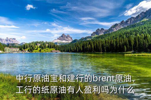 中行原油寶和建行的brent原油，工行的紙?jiān)陀腥擞麊釣槭裁? class=