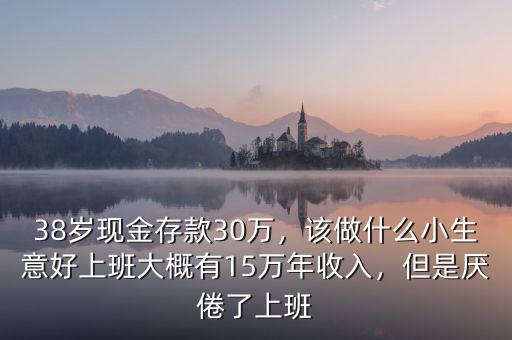 38歲現(xiàn)金存款30萬，該做什么小生意好上班大概有15萬年收入，但是厭倦了上班