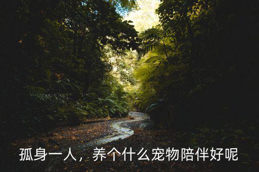 孤身一人，養(yǎng)個什么寵物陪伴好呢