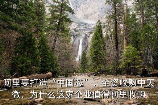 阿里要打造“中國(guó)芯”，全資收購(gòu)中天微，為什么這家企業(yè)值得阿里收購(gòu)