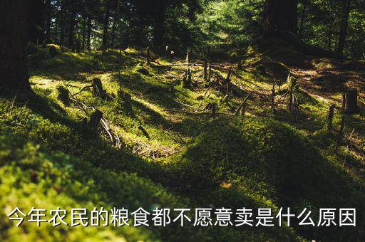 今年農(nóng)民的糧食都不愿意賣(mài)是什么原因
