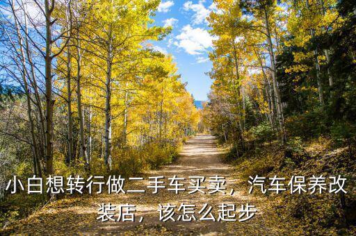 小白想轉行做二手車買賣，汽車保養(yǎng)改裝店，該怎么起步