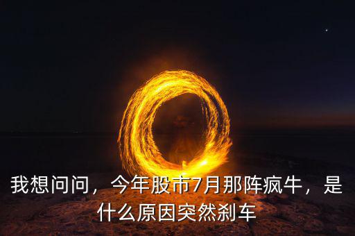 我想問問，今年股市7月那陣瘋牛，是什么原因突然剎車