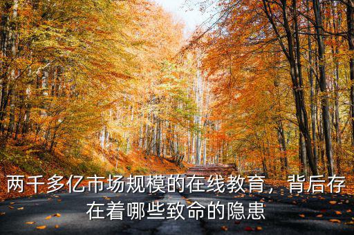 兩千多億市場規(guī)模的在線教育，背后存在著哪些致命的隱患