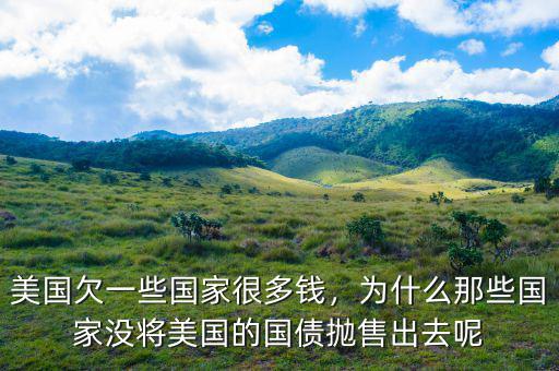 美國欠一些國家很多錢，為什么那些國家沒將美國的國債拋售出去呢
