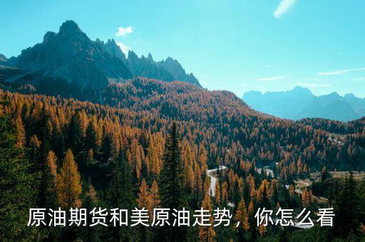 原油期貨和美原油走勢，你怎么看