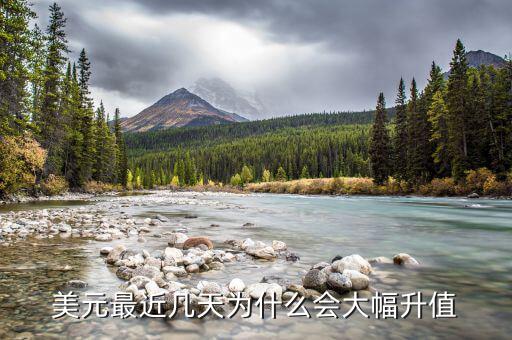 歐元對美元為什么會(huì)漲,歐元為什么突然暴漲