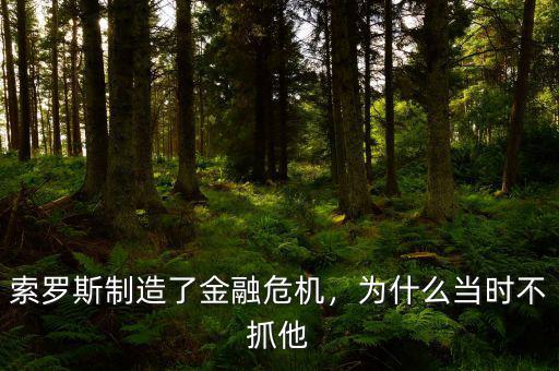 索羅斯制造了金融危機，為什么當(dāng)時不抓他