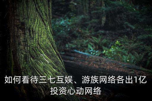 如何看待三七互娛、游族網(wǎng)絡(luò)各出1億投資心動(dòng)網(wǎng)絡(luò)