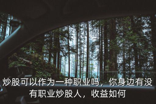 炒股可以作為一種職業(yè)嗎，你身邊有沒有職業(yè)炒股人，收益如何