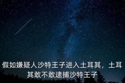 假如嫌疑人沙特王子進(jìn)入土耳其，土耳其敢不敢逮捕沙特王子