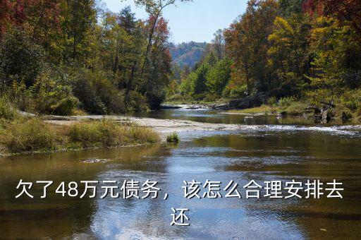 欠了48萬元債務，該怎么合理安排去還
