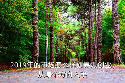 2019年的市場怎么樣如果想創(chuàng)業(yè)，從哪個方向入手
