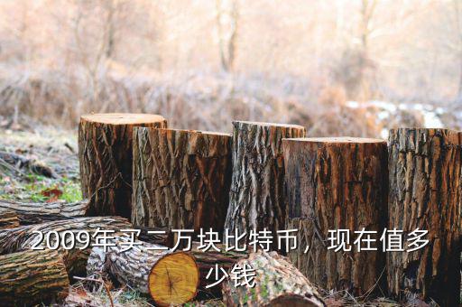2009年買二萬塊比特幣，現(xiàn)在值多少錢