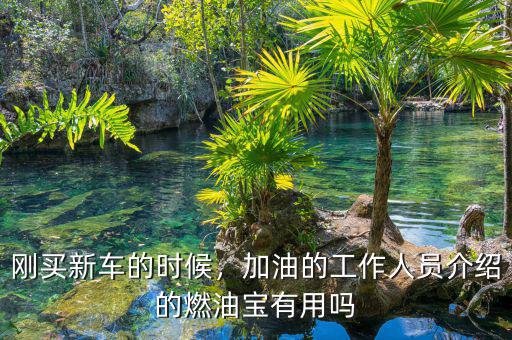 剛買(mǎi)新車(chē)的時(shí)候，加油的工作人員介紹的燃油寶有用嗎