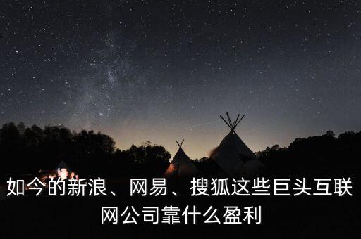 互聯網公司發(fā)展靠什么,互聯網公司是如何盈利的