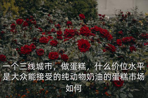 一個三線城市，做蛋糕，什么價位水平是大眾能接受的純動物奶油的蛋糕市場如何