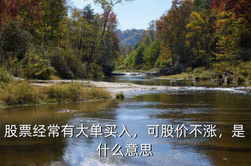 股票經(jīng)常有大單買入，可股價不漲，是什么意思