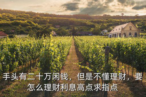 手頭有二十萬閑錢，但是不懂理財，要怎么理財利息高點求指點