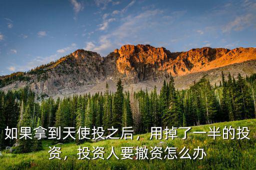 如果拿到天使投之后，用掉了一半的投資，投資人要撤資怎么辦