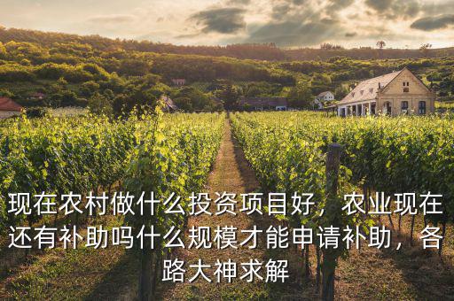 現(xiàn)在農(nóng)村做什么投資項目好，農(nóng)業(yè)現(xiàn)在還有補助嗎什么規(guī)模才能申請補助，各路大神求解