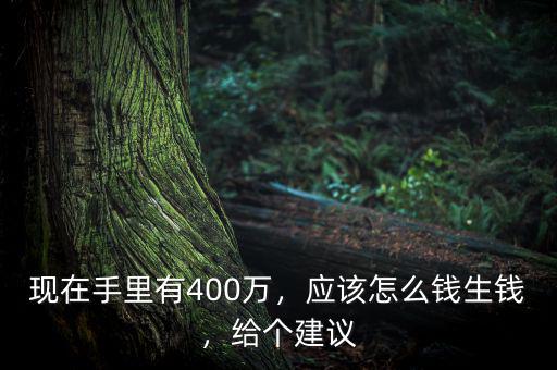 現(xiàn)在手里有400萬，應(yīng)該怎么錢生錢，給個(gè)建議