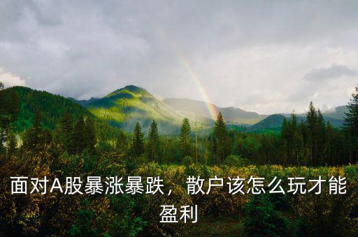 面對(duì)A股暴漲暴跌，散戶該怎么玩才能盈利