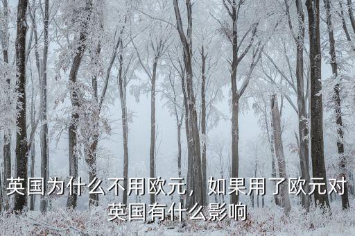 英國(guó)為什么不用歐元，如果用了歐元對(duì)英國(guó)有什么影響