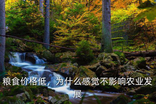 糧食價(jià)格低，為什么感覺不影響農(nóng)業(yè)發(fā)展
