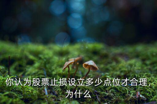 你認(rèn)為股票止損設(shè)立多少點(diǎn)位才合理，為什么