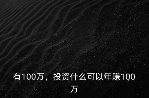 有100萬，投資什么可以年賺100萬