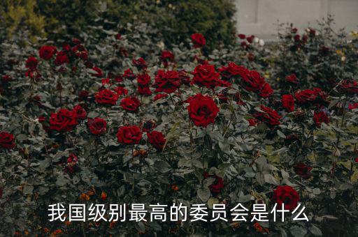 我國級別最高的委員會是什么