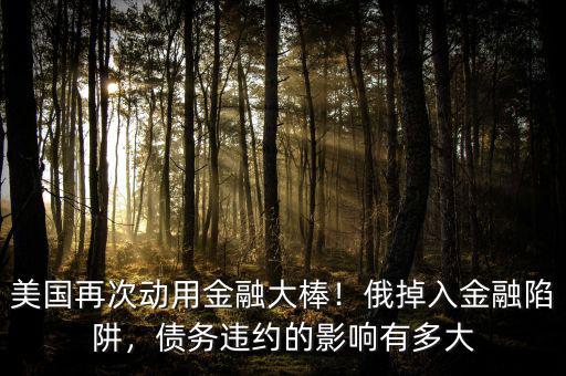 美國再次動用金融大棒！俄掉入金融陷阱，債務違約的影響有多大