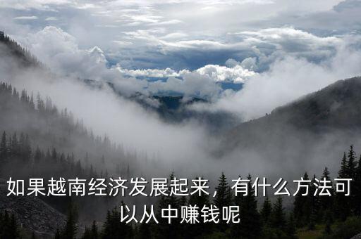 如果越南經(jīng)濟(jì)發(fā)展起來，有什么方法可以從中賺錢呢