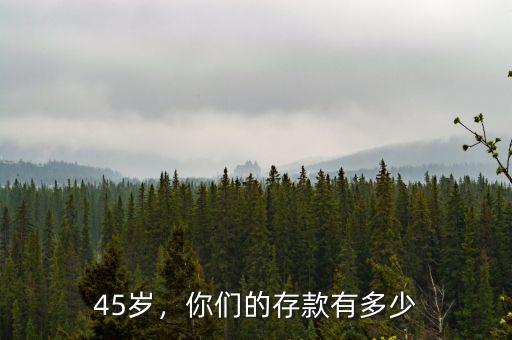 45歲，你們的存款有多少