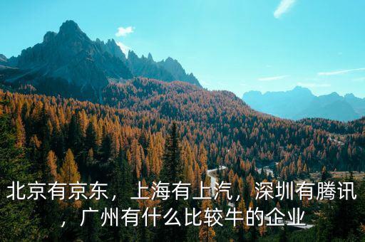 北京有京東，上海有上汽，深圳有騰訊，廣州有什么比較牛的企業(yè)