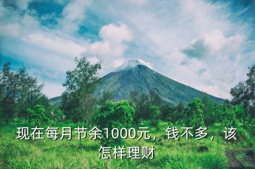 現(xiàn)在每月節(jié)余1000元，錢不多，該怎樣理財(cái)