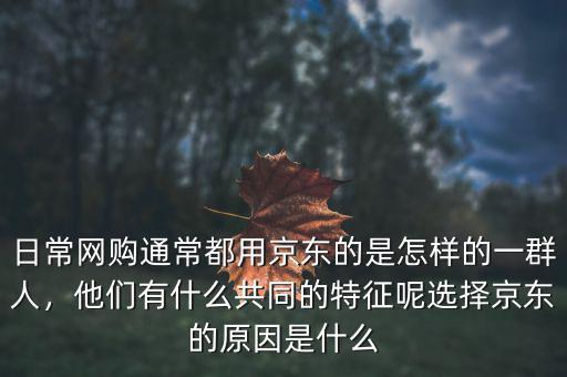 日常網(wǎng)購(gòu)?fù)ǔ６加镁〇|的是怎樣的一群人，他們有什么共同的特征呢選擇京東的原因是什么