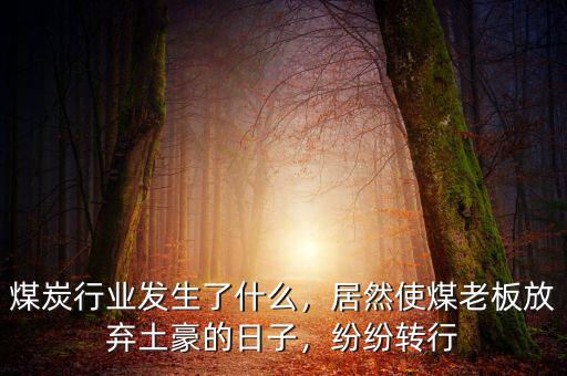 煤炭行業(yè)發(fā)生了什么，居然使煤老板放棄土豪的日子，紛紛轉(zhuǎn)行