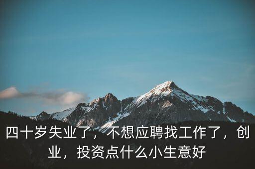 四十歲失業(yè)了，不想應聘找工作了，創(chuàng)業(yè)，投資點什么小生意好